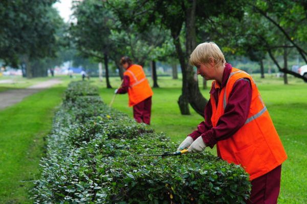Благоустройство территорий Киев